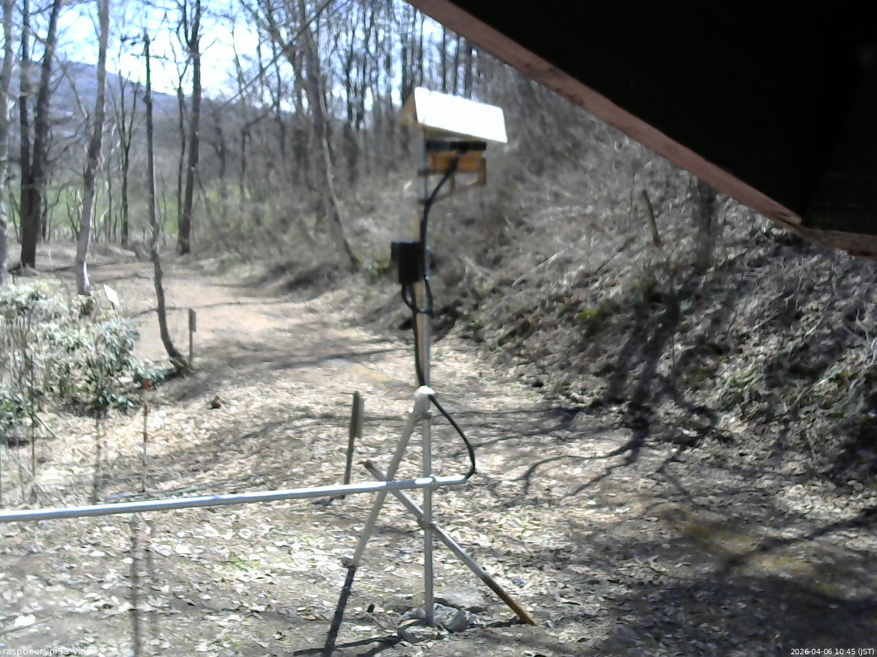 長野県菅平高原 ゆたか山荘 南側 2026/04/06 10:45
