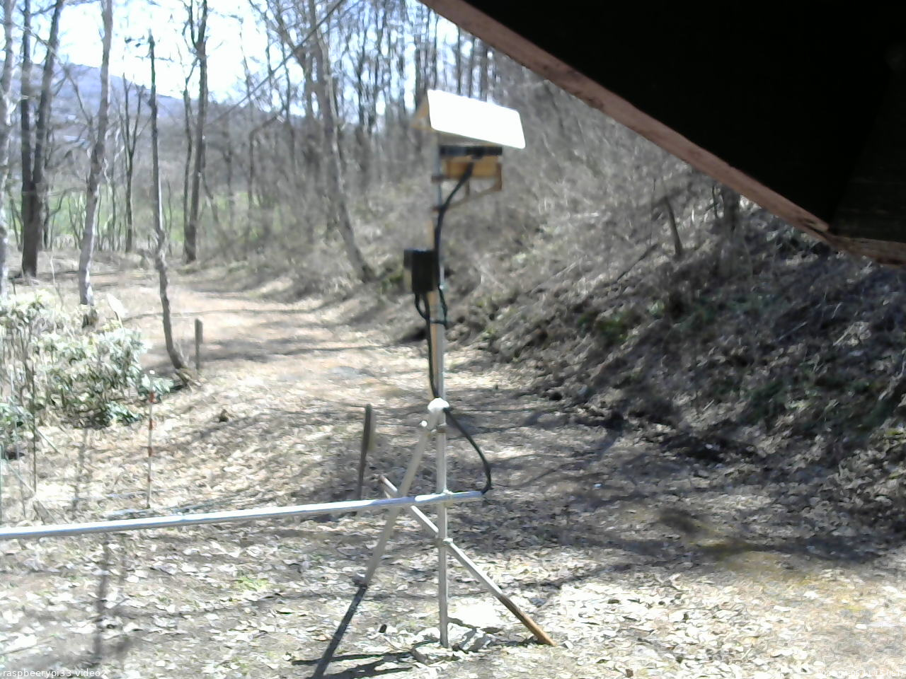長野県菅平高原 ゆたか山荘 南側 2026/04/06 11:15