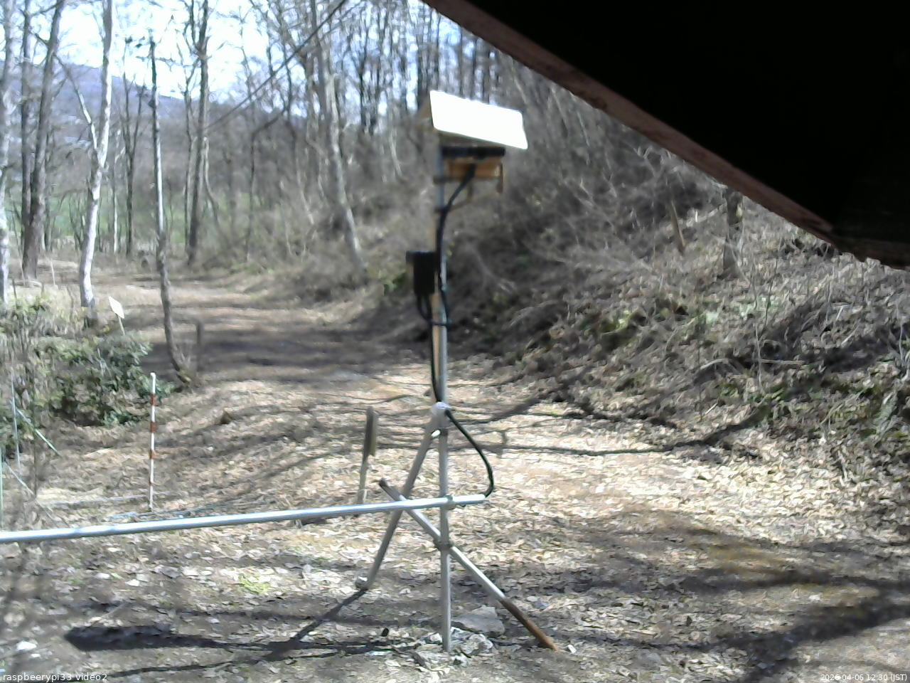長野県菅平高原 ゆたか山荘 南側 2026/04/06 12:30