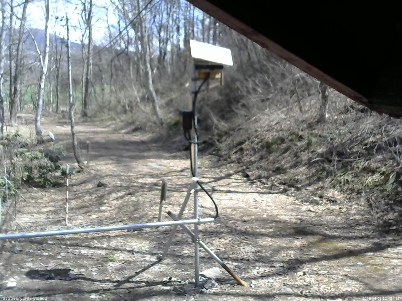 長野県菅平高原 ゆたか山荘 南側 2026/04/06 12:45