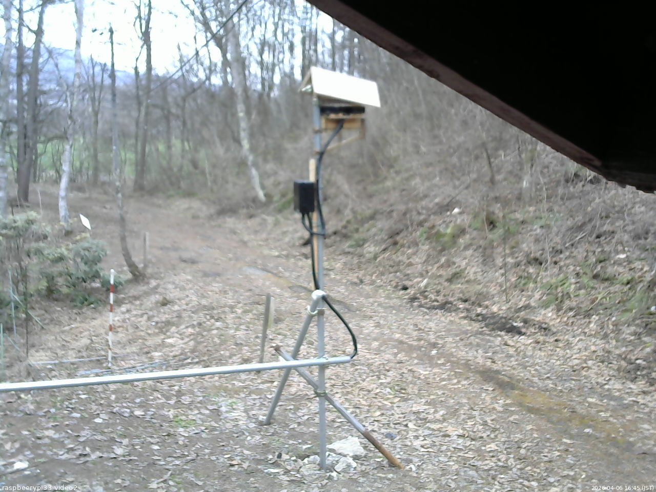 長野県菅平高原 ゆたか山荘 南側 2026/04/06 16:45