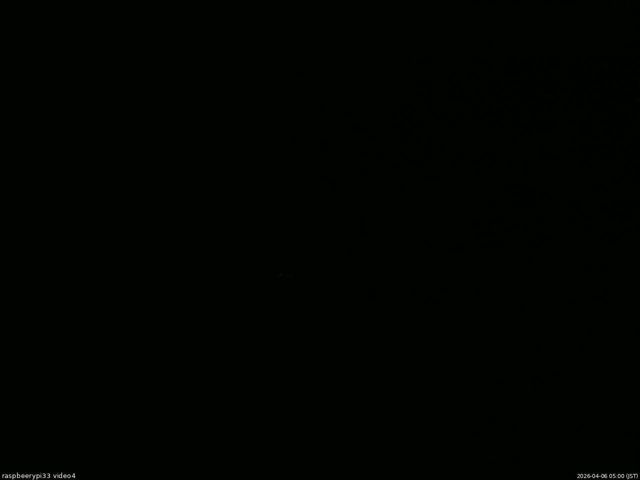 長野県菅平高原 ゆたか山荘 東側(坂下) 2026/04/06 05:00