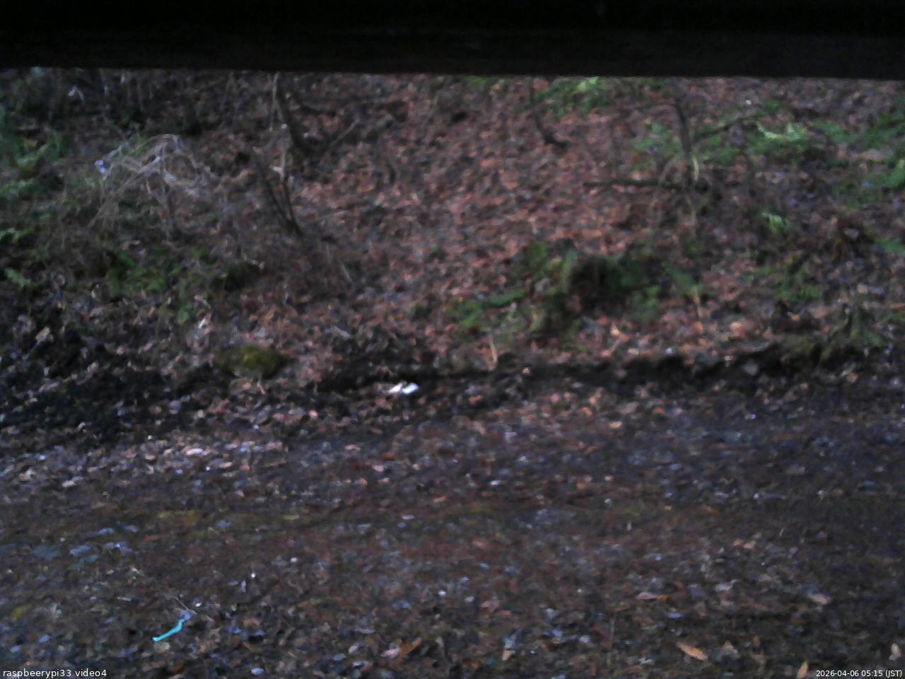 長野県菅平高原 ゆたか山荘 東側(坂下) 2026/04/06 05:15