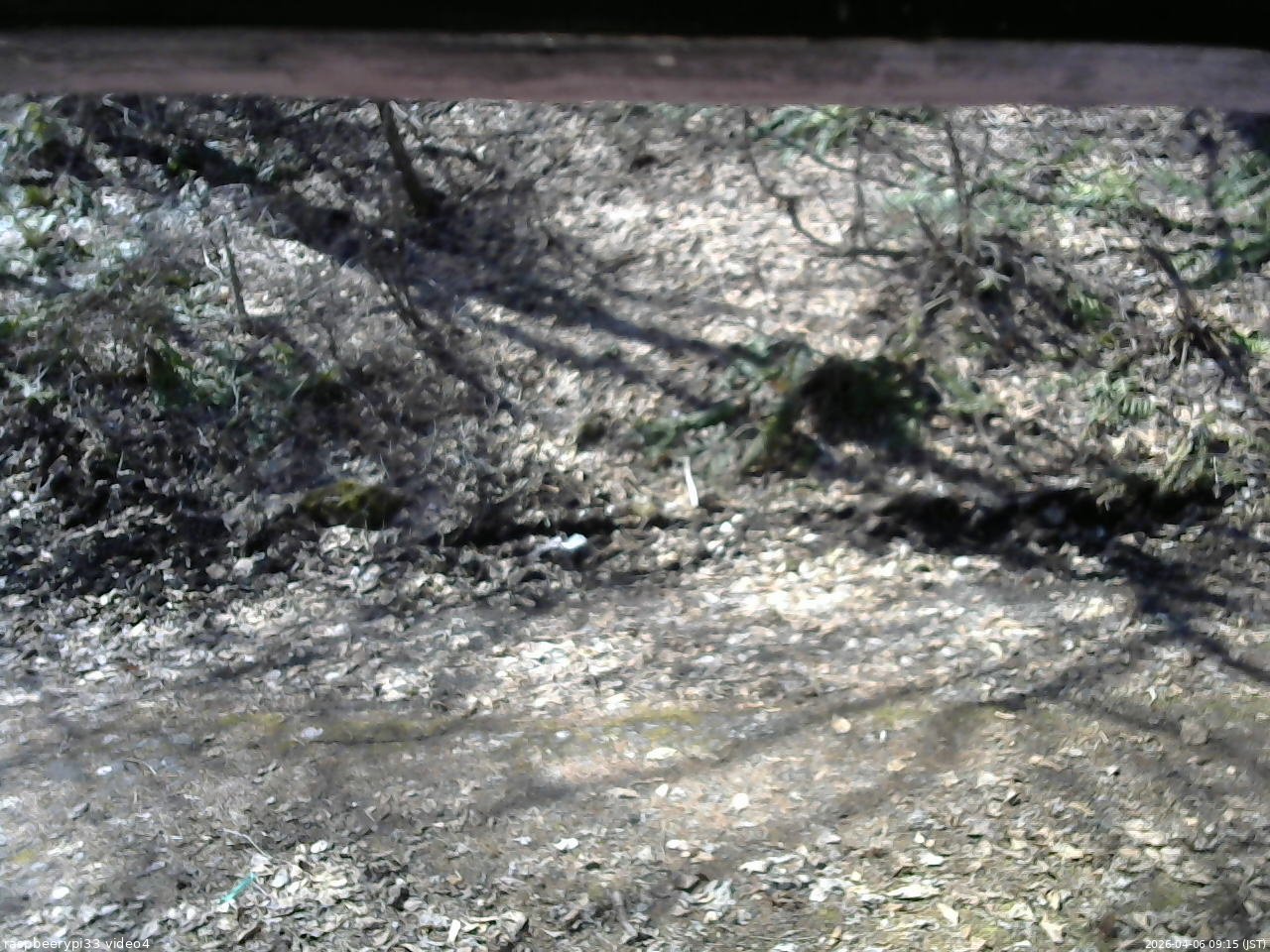 長野県菅平高原 ゆたか山荘 東側(坂下) 2026/04/06 09:15
