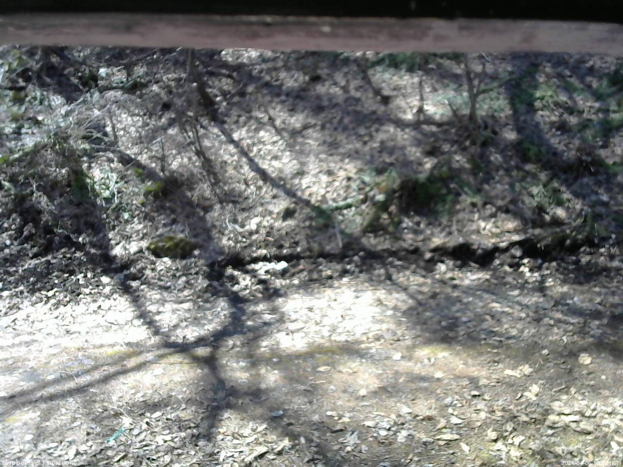 長野県菅平高原 ゆたか山荘 東側(坂下) 2026/04/06 10:00