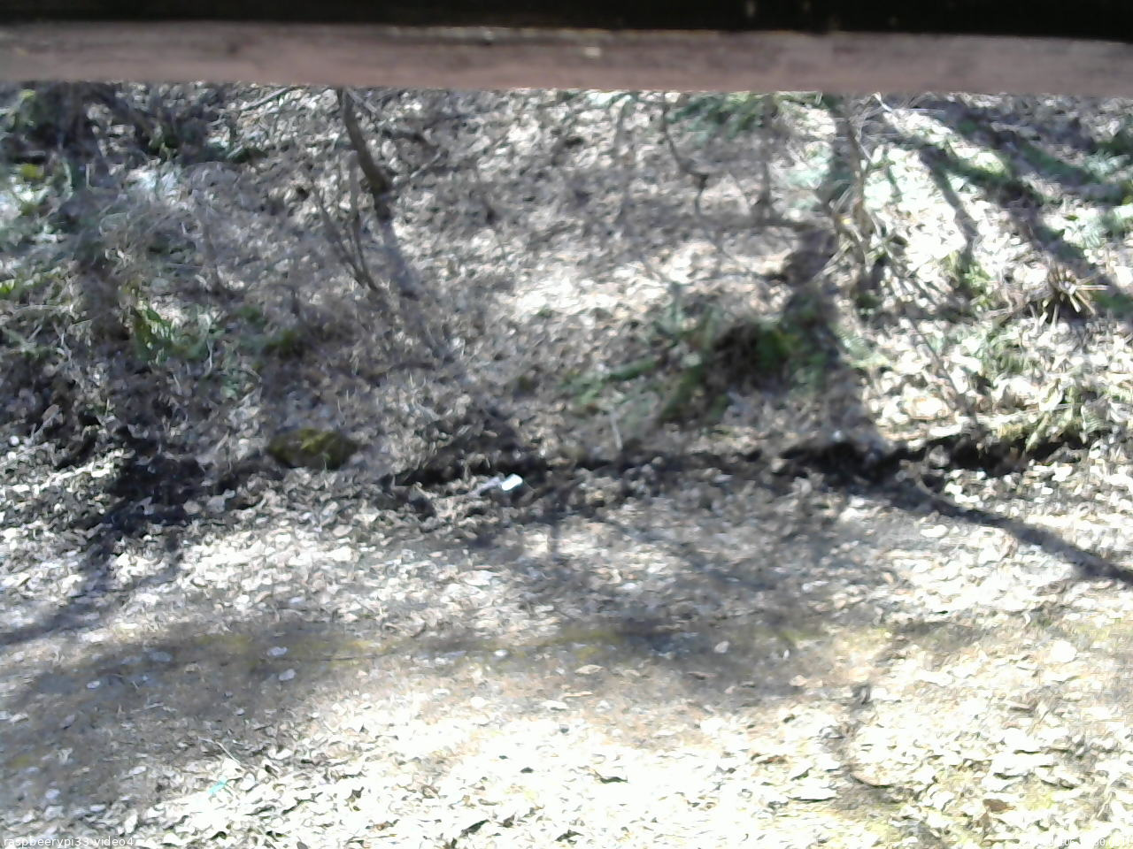 長野県菅平高原 ゆたか山荘 東側(坂下) 2026/04/06 10:30