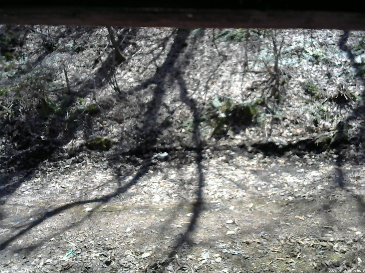 長野県菅平高原 ゆたか山荘 東側(坂下) 2026/04/06 12:15