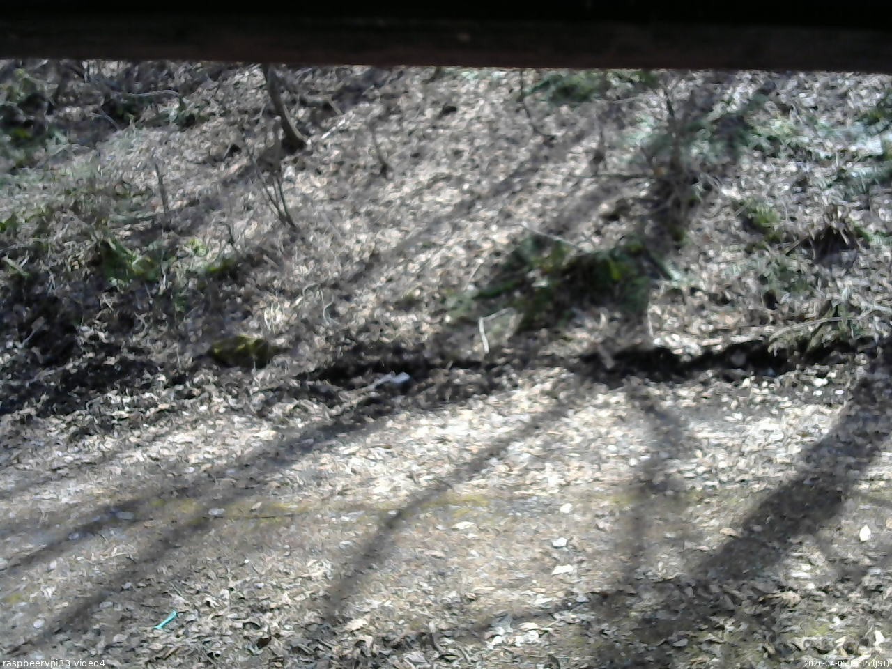 長野県菅平高原 ゆたか山荘 東側(坂下) 2026/04/06 13:15