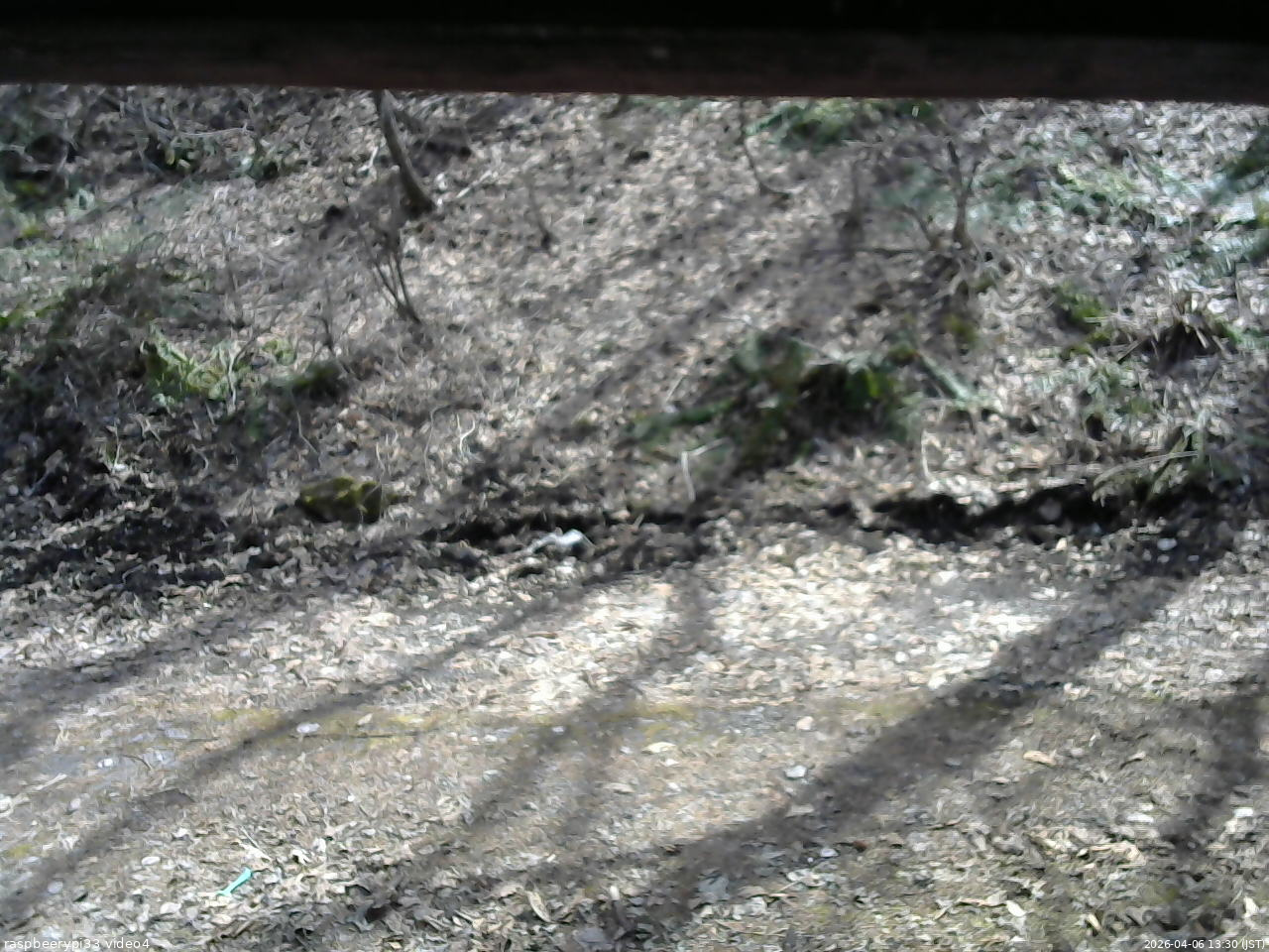 長野県菅平高原 ゆたか山荘 東側(坂下) 2026/04/06 13:30