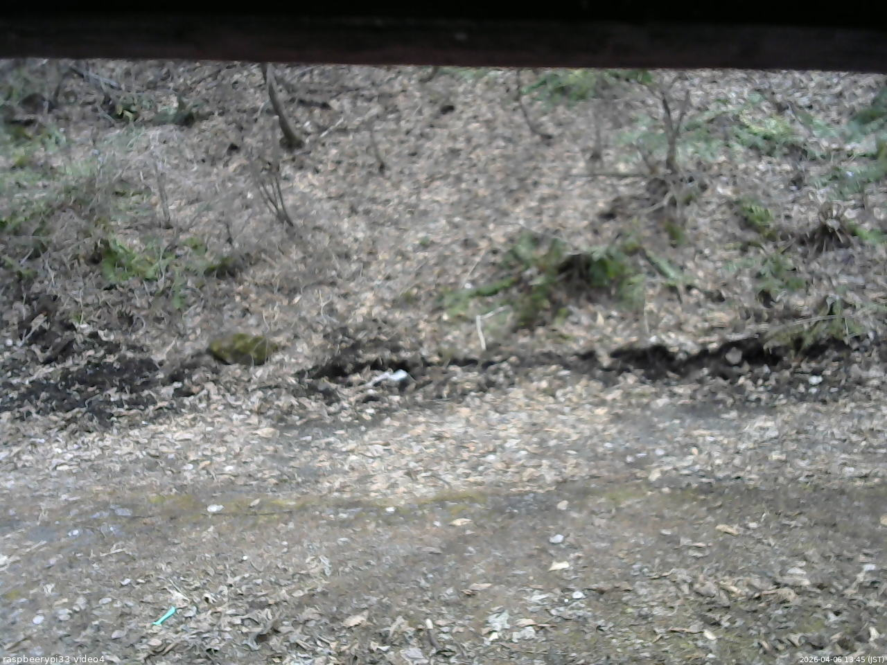 長野県菅平高原 ゆたか山荘 東側(坂下) 2026/04/06 13:45