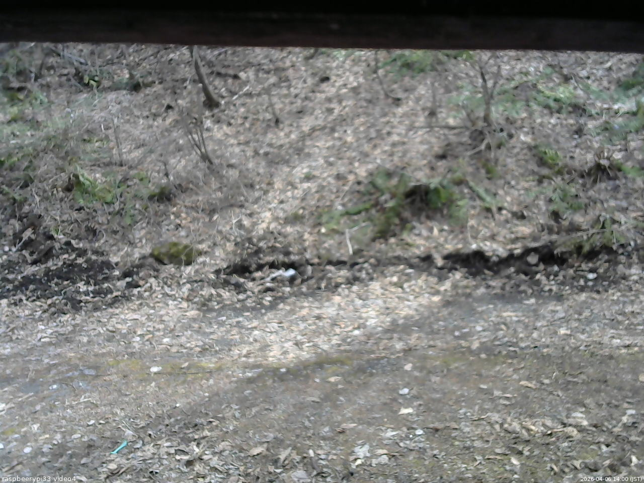 長野県菅平高原 ゆたか山荘 東側(坂下) 2026/04/06 14:00