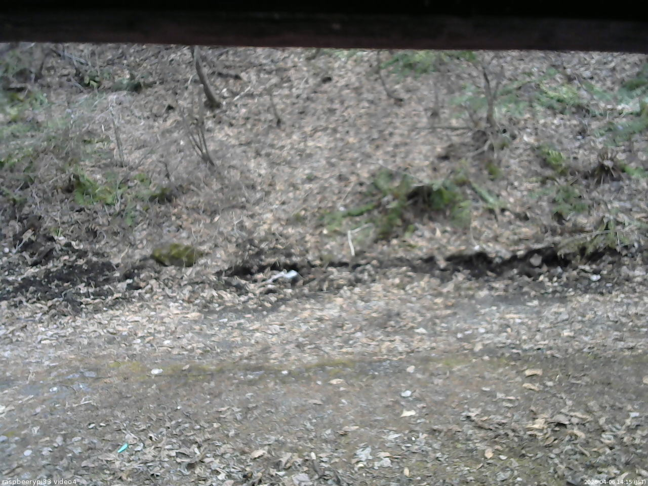 長野県菅平高原 ゆたか山荘 東側(坂下) 2026/04/06 14:15