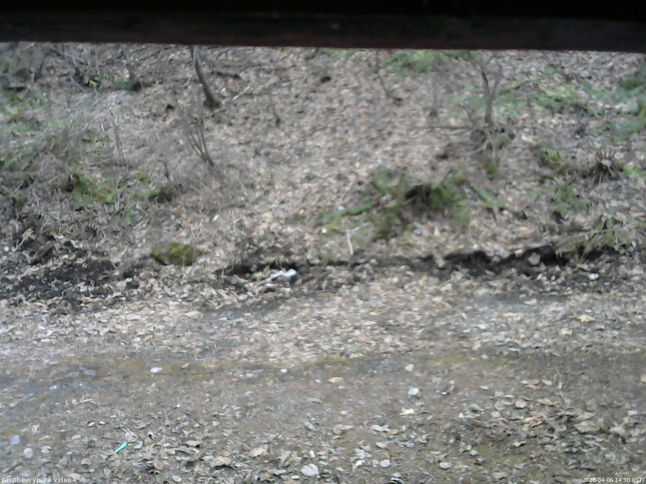 長野県菅平高原 ゆたか山荘 東側(坂下) 2026/04/06 14:30