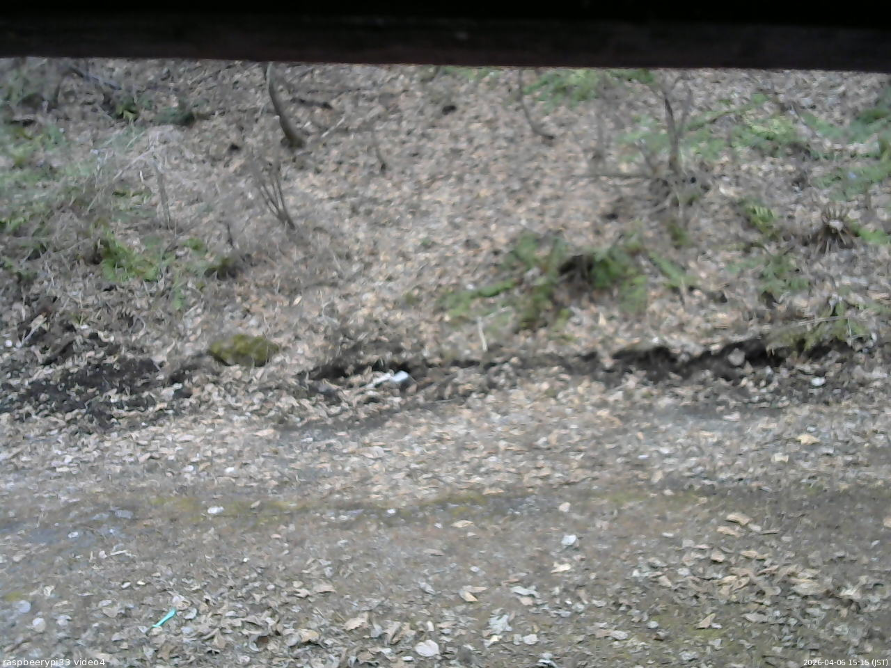 長野県菅平高原 ゆたか山荘 東側(坂下) 2026/04/06 15:15