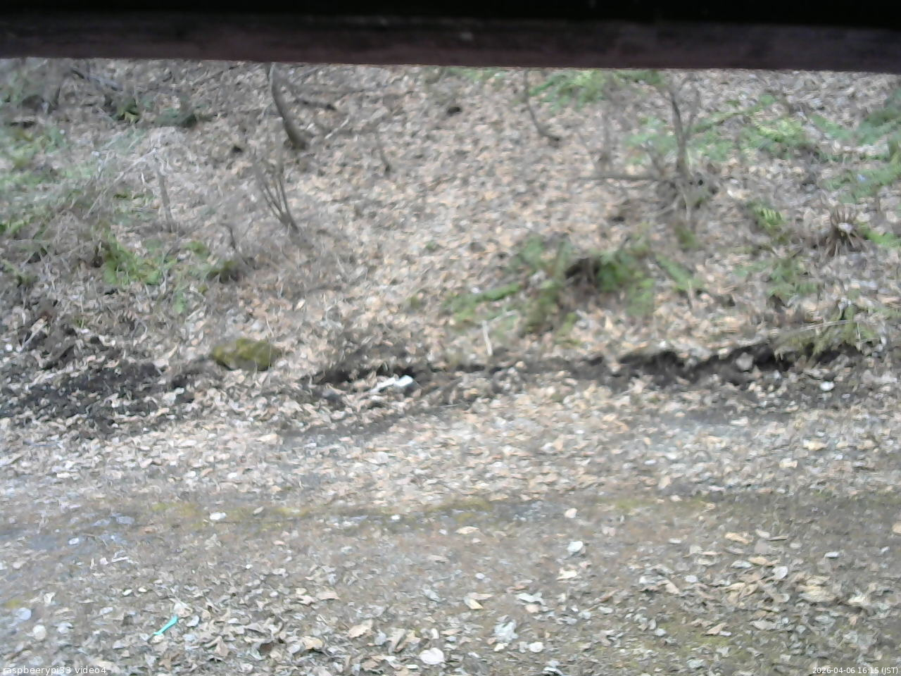 長野県菅平高原 ゆたか山荘 東側(坂下) 2026/04/06 16:15