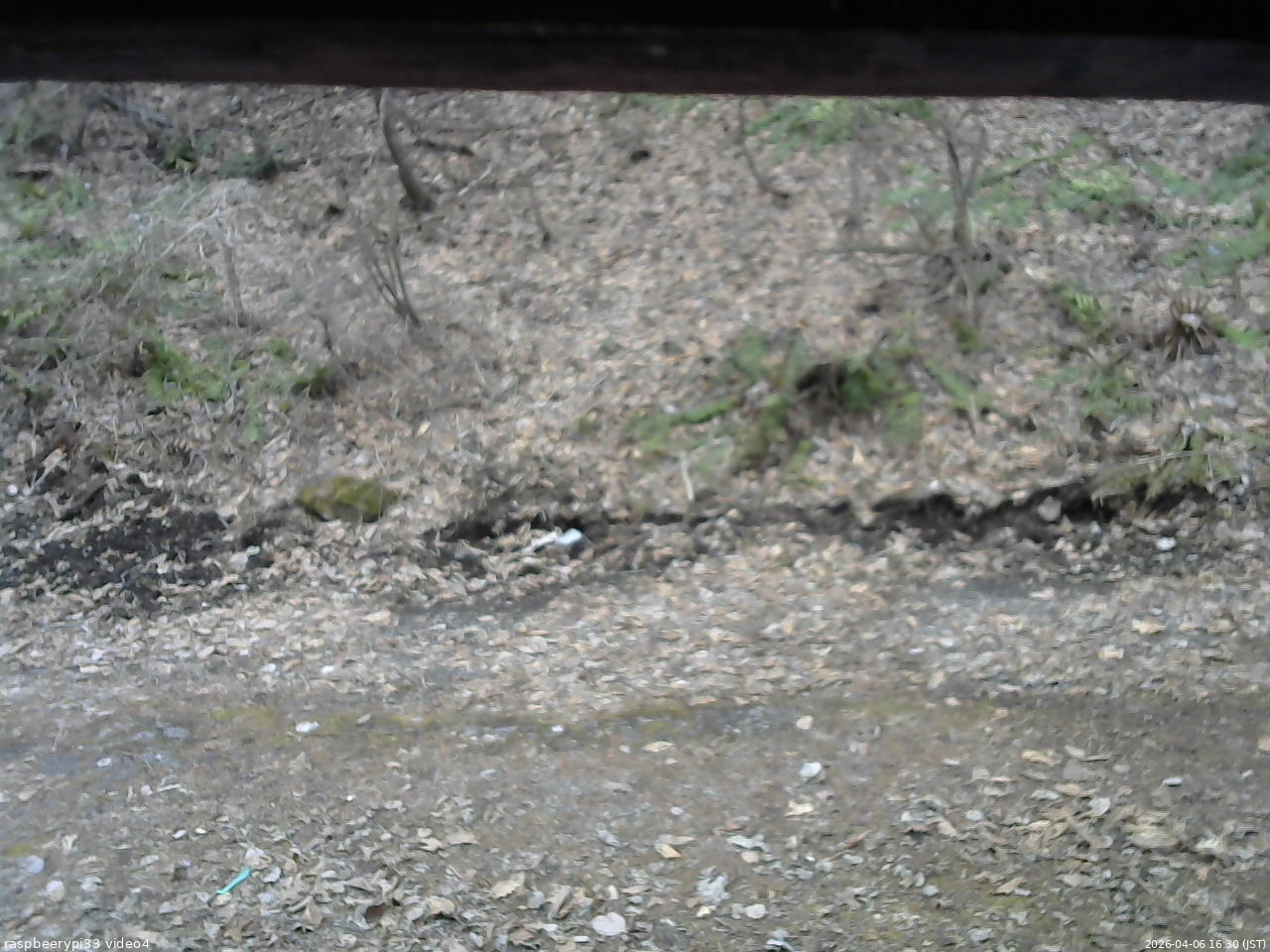 長野県菅平高原 ゆたか山荘 東側(坂下) 2026/04/06 16:30