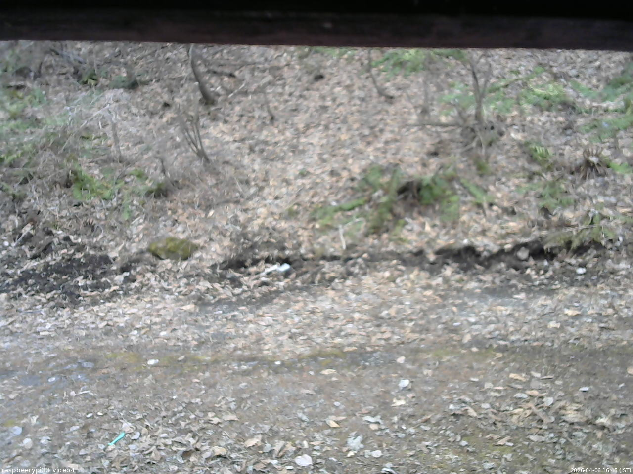 長野県菅平高原 ゆたか山荘 東側(坂下) 2026/04/06 16:45