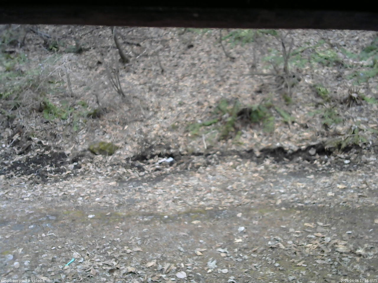長野県菅平高原 ゆたか山荘 東側(坂下) 2026/04/06 17:15