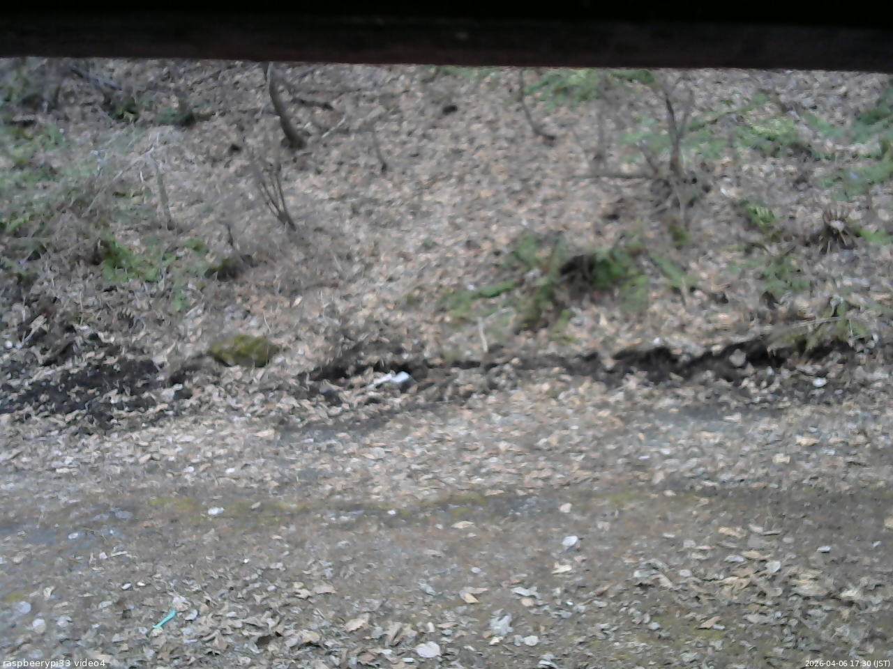 長野県菅平高原 ゆたか山荘 東側(坂下) 2026/04/06 17:30