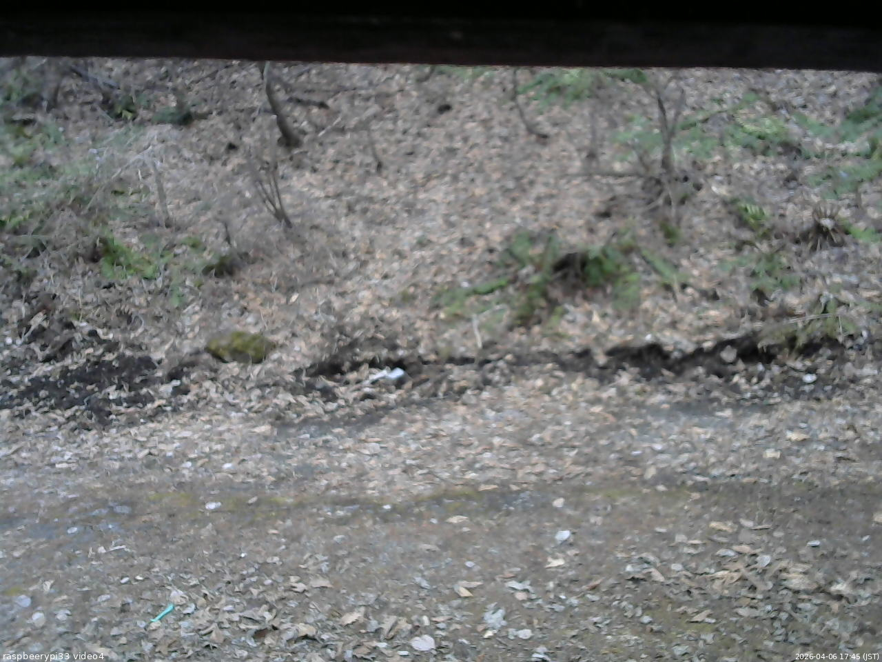 長野県菅平高原 ゆたか山荘 東側(坂下) 2026/04/06 17:45
