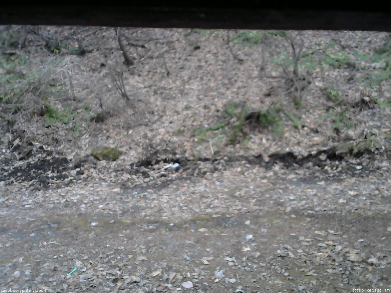 長野県菅平高原 ゆたか山荘 東側(坂下) 2026/04/06 18:00