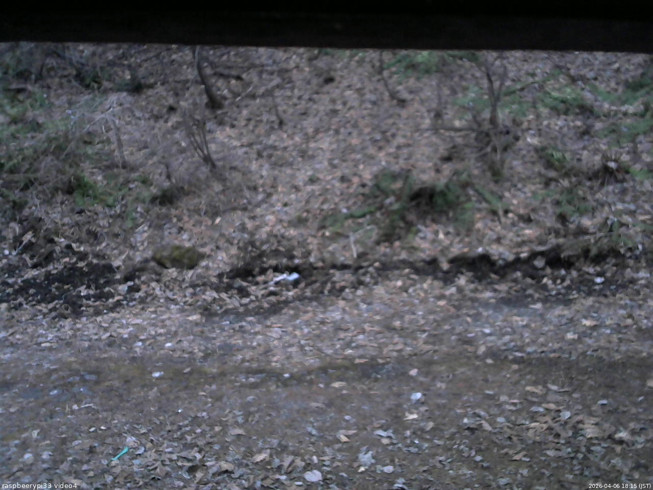長野県菅平高原 ゆたか山荘 東側(坂下) 2026/04/06 18:15