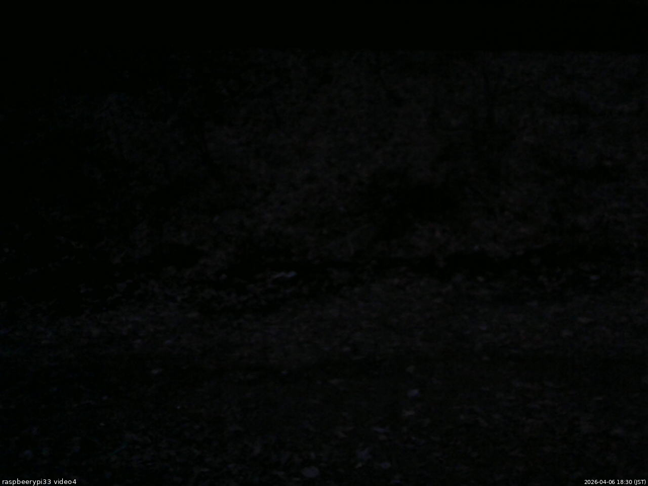 長野県菅平高原 ゆたか山荘 東側(坂下) 2026/04/06 18:30