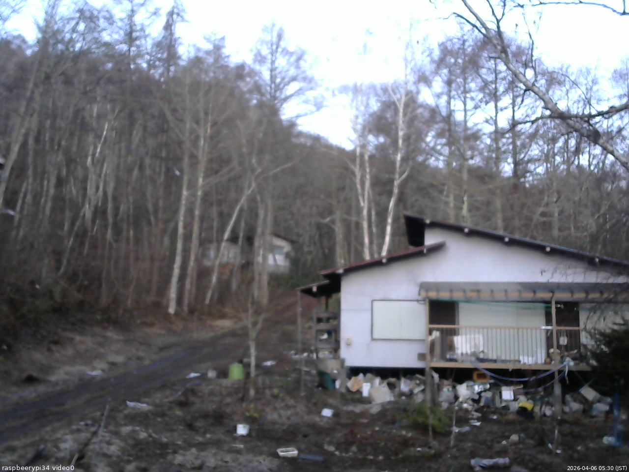 長野県菅平高原 ゆたか山荘 西側(坂上) 2026/04/06 05:30