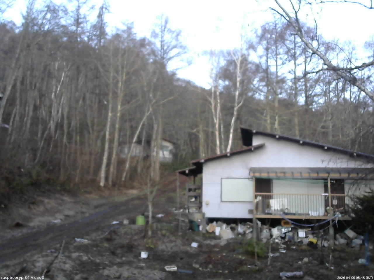 長野県菅平高原 ゆたか山荘 西側(坂上) 2026/04/06 05:45