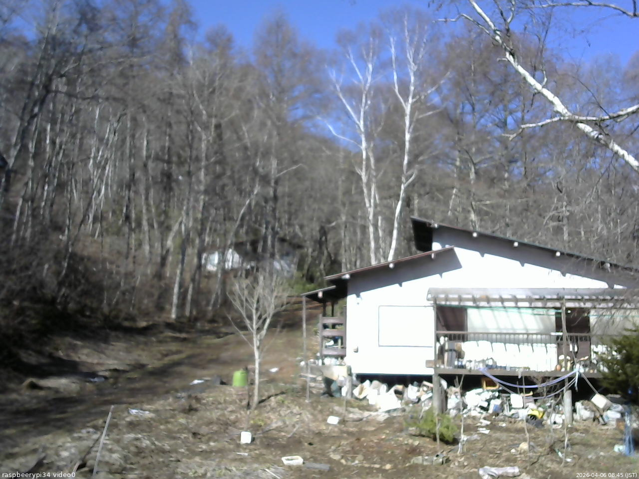 長野県菅平高原 ゆたか山荘 西側(坂上) 2026/04/06 08:45