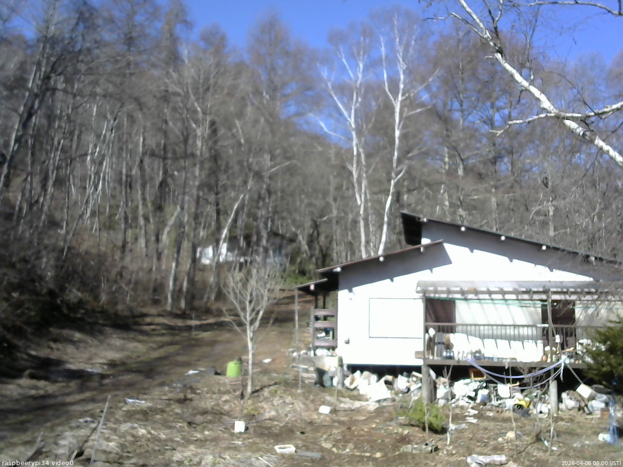長野県菅平高原 ゆたか山荘 西側(坂上) 2026/04/06 09:00