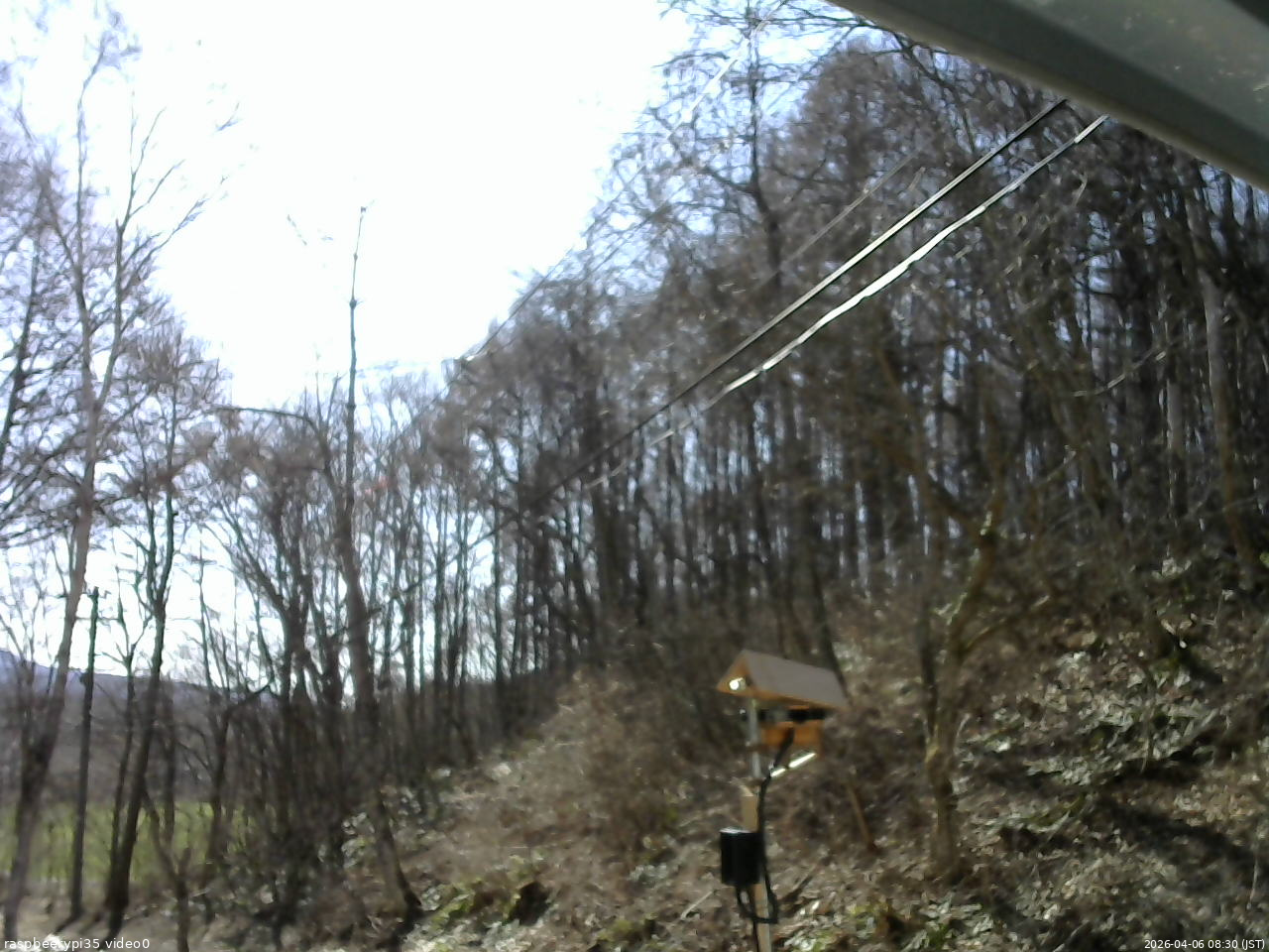 長野県菅平高原 ゆたか山荘 温度計 2026/04/06 08:30