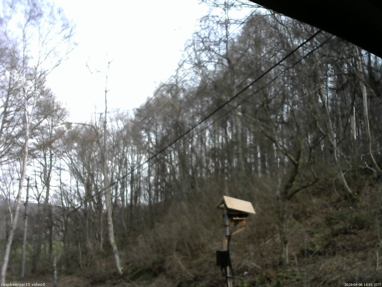 長野県菅平高原 ゆたか山荘 温度計 2026/04/06 14:45