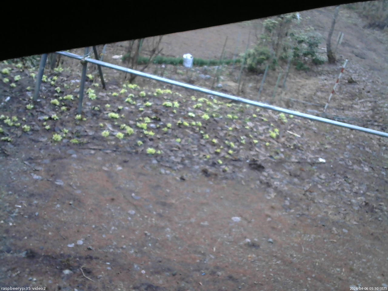 長野県菅平高原 ゆたか山荘 駐車場 2026/04/06 05:30