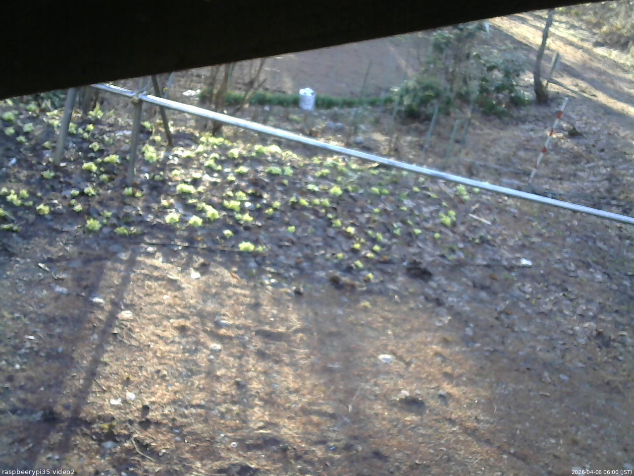 長野県菅平高原 ゆたか山荘 駐車場 2026/04/06 06:00