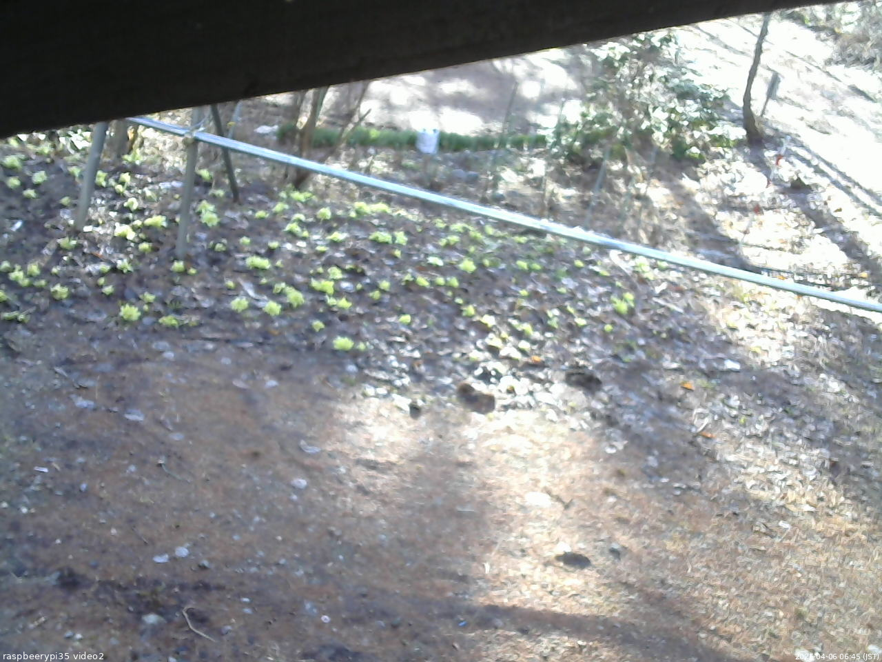 長野県菅平高原 ゆたか山荘 駐車場 2026/04/06 06:45