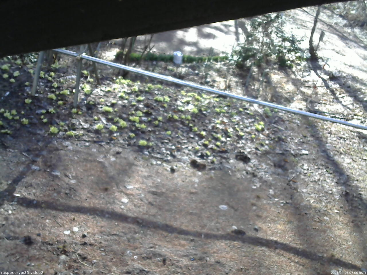 長野県菅平高原 ゆたか山荘 駐車場 2026/04/06 07:00