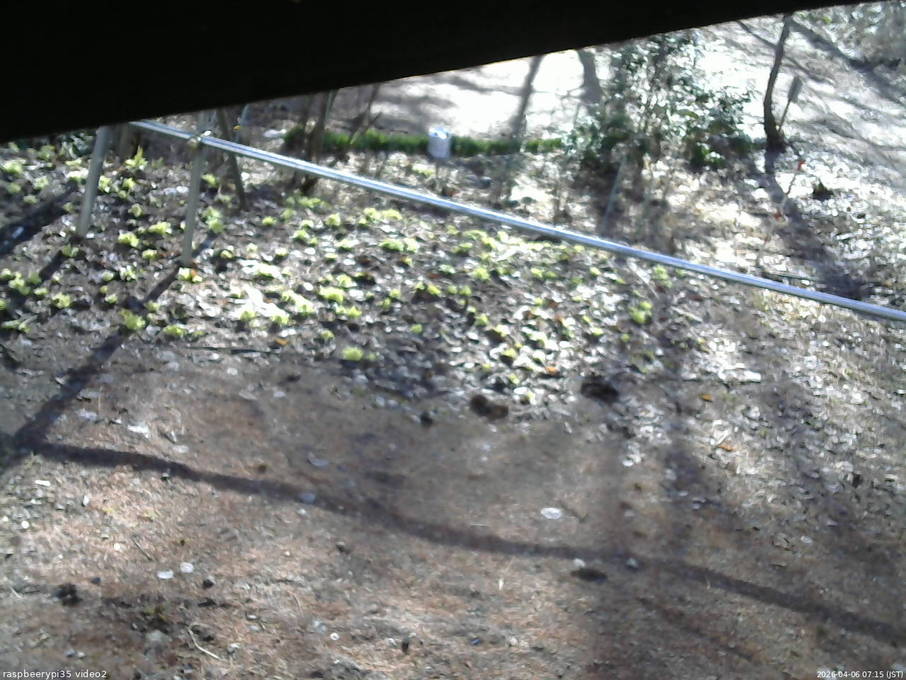 長野県菅平高原 ゆたか山荘 駐車場 2026/04/06 07:15