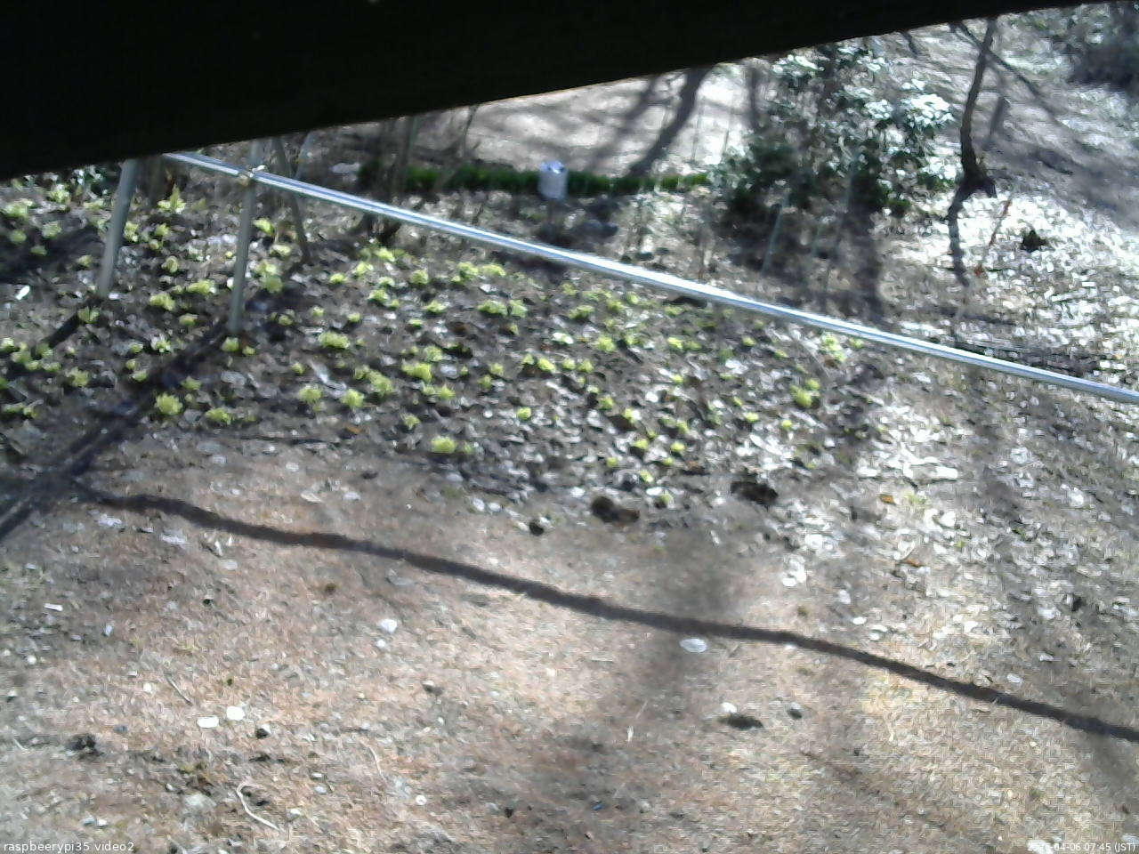 長野県菅平高原 ゆたか山荘 駐車場 2026/04/06 07:45