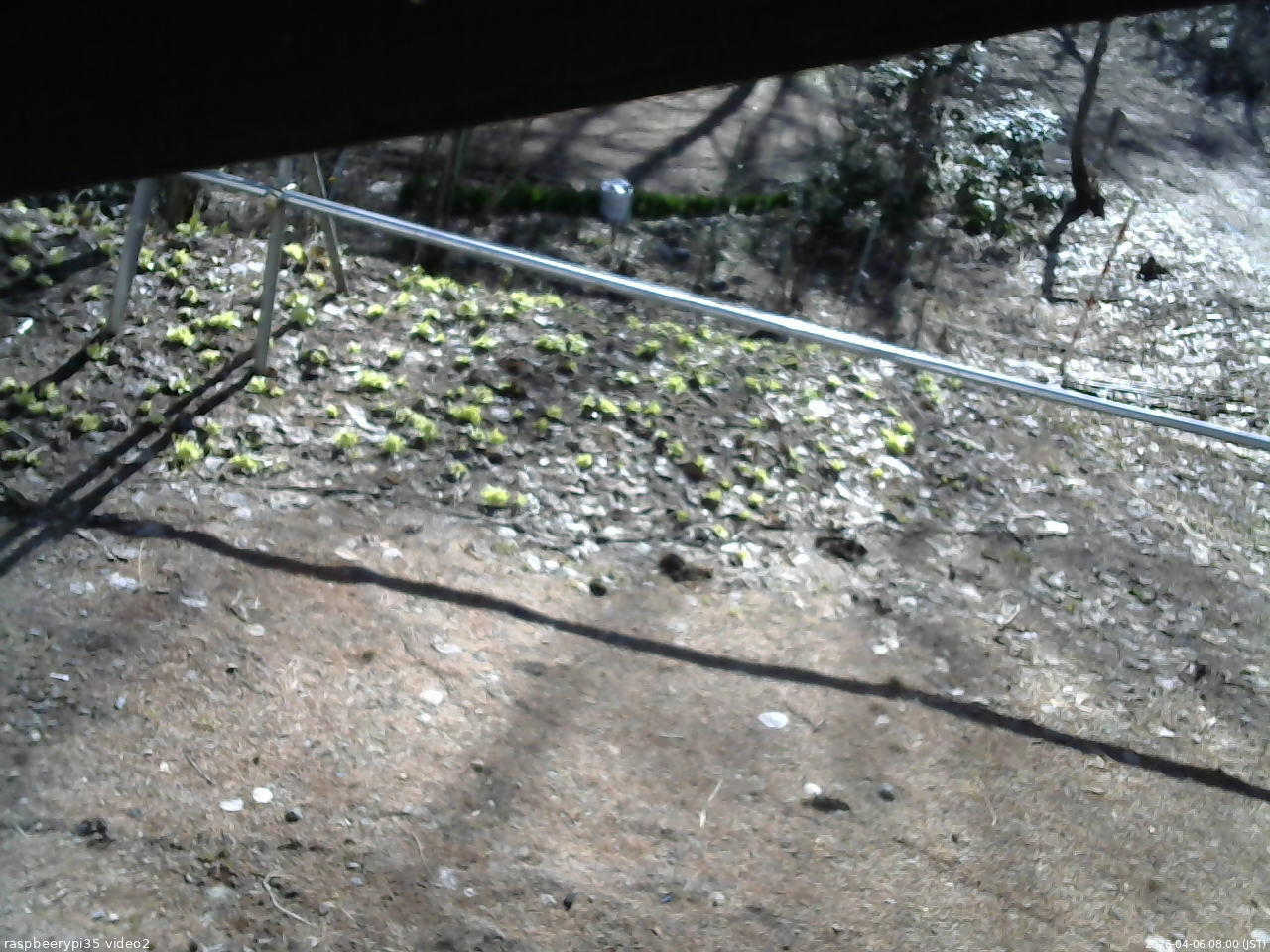 長野県菅平高原 ゆたか山荘 駐車場 2026/04/06 08:00