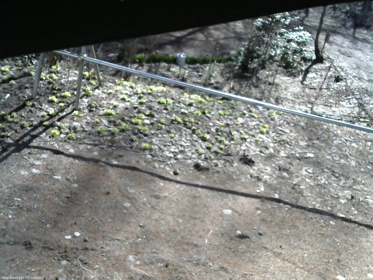 長野県菅平高原 ゆたか山荘 駐車場 2026/04/06 08:15