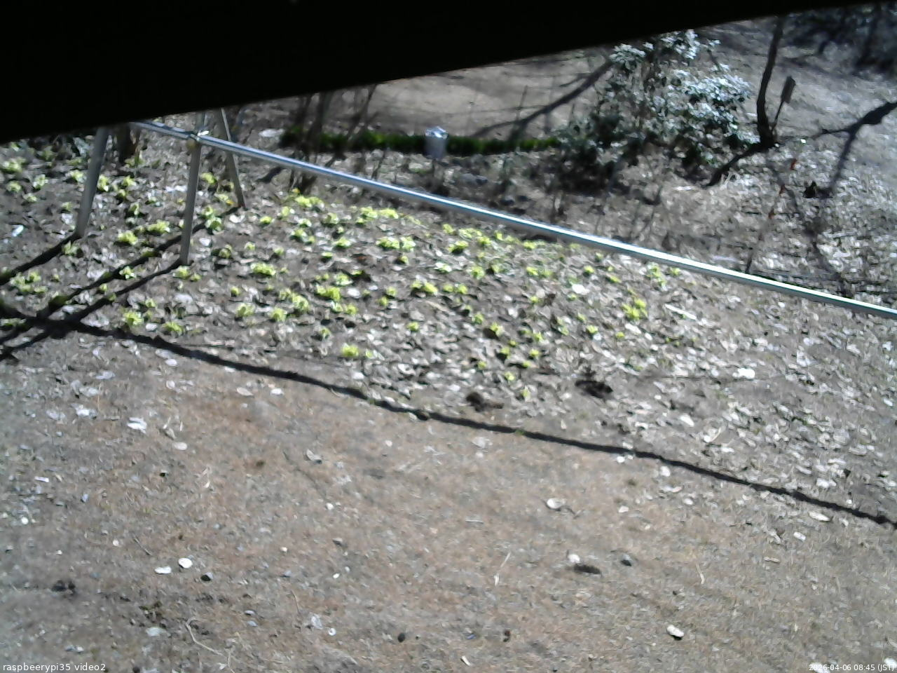 長野県菅平高原 ゆたか山荘 駐車場 2026/04/06 08:45