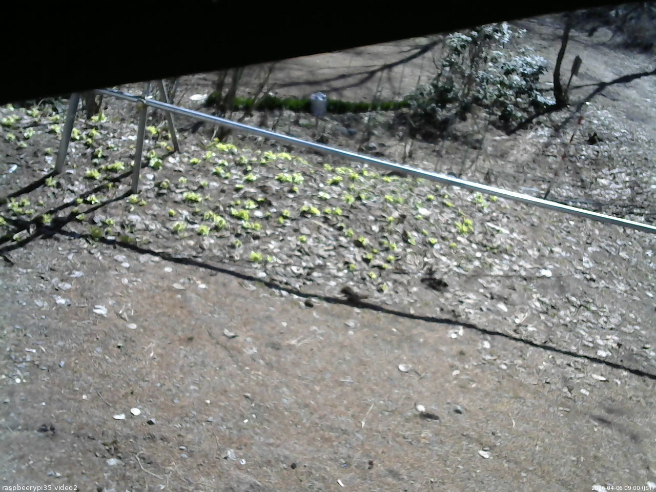 長野県菅平高原 ゆたか山荘 駐車場 2026/04/06 09:00
