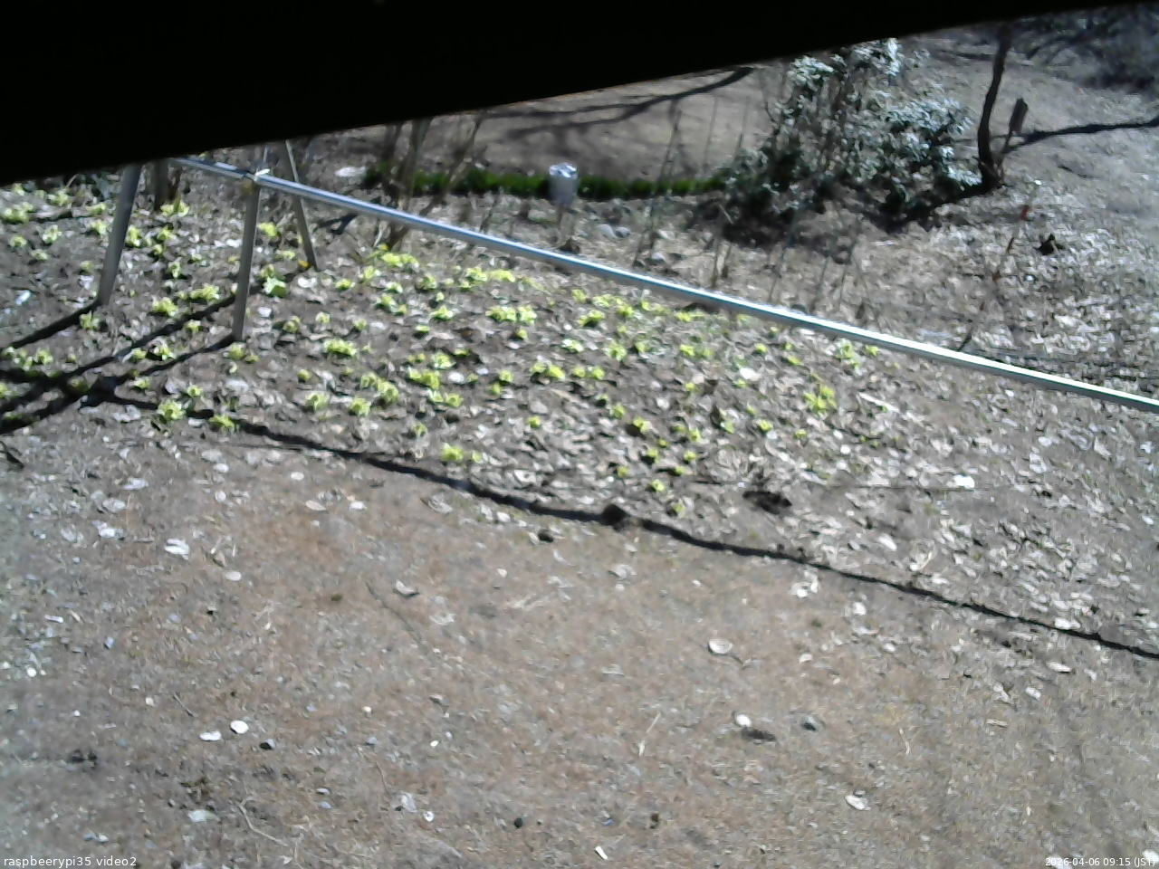 長野県菅平高原 ゆたか山荘 駐車場 2026/04/06 09:15
