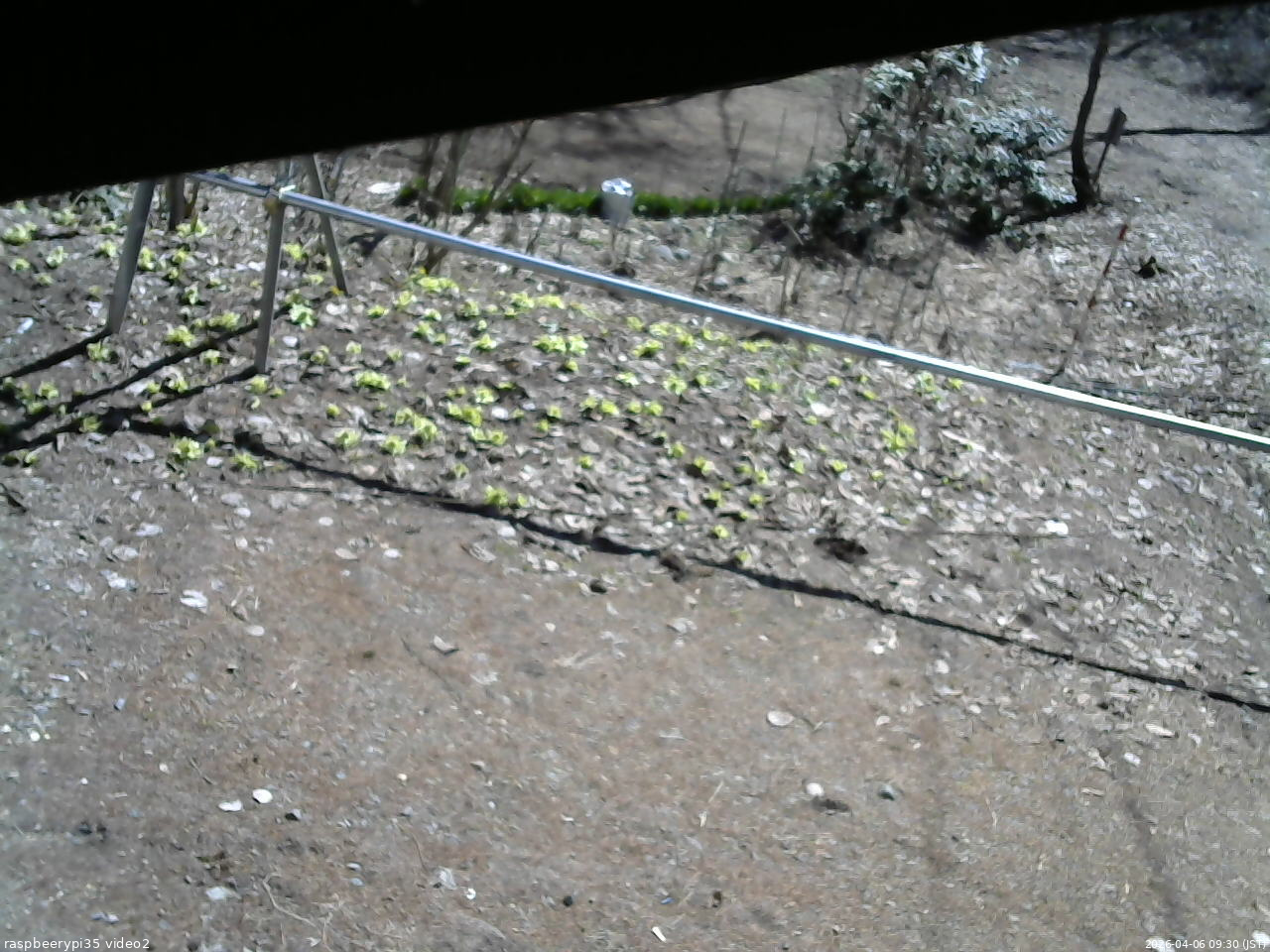 長野県菅平高原 ゆたか山荘 駐車場 2026/04/06 09:30