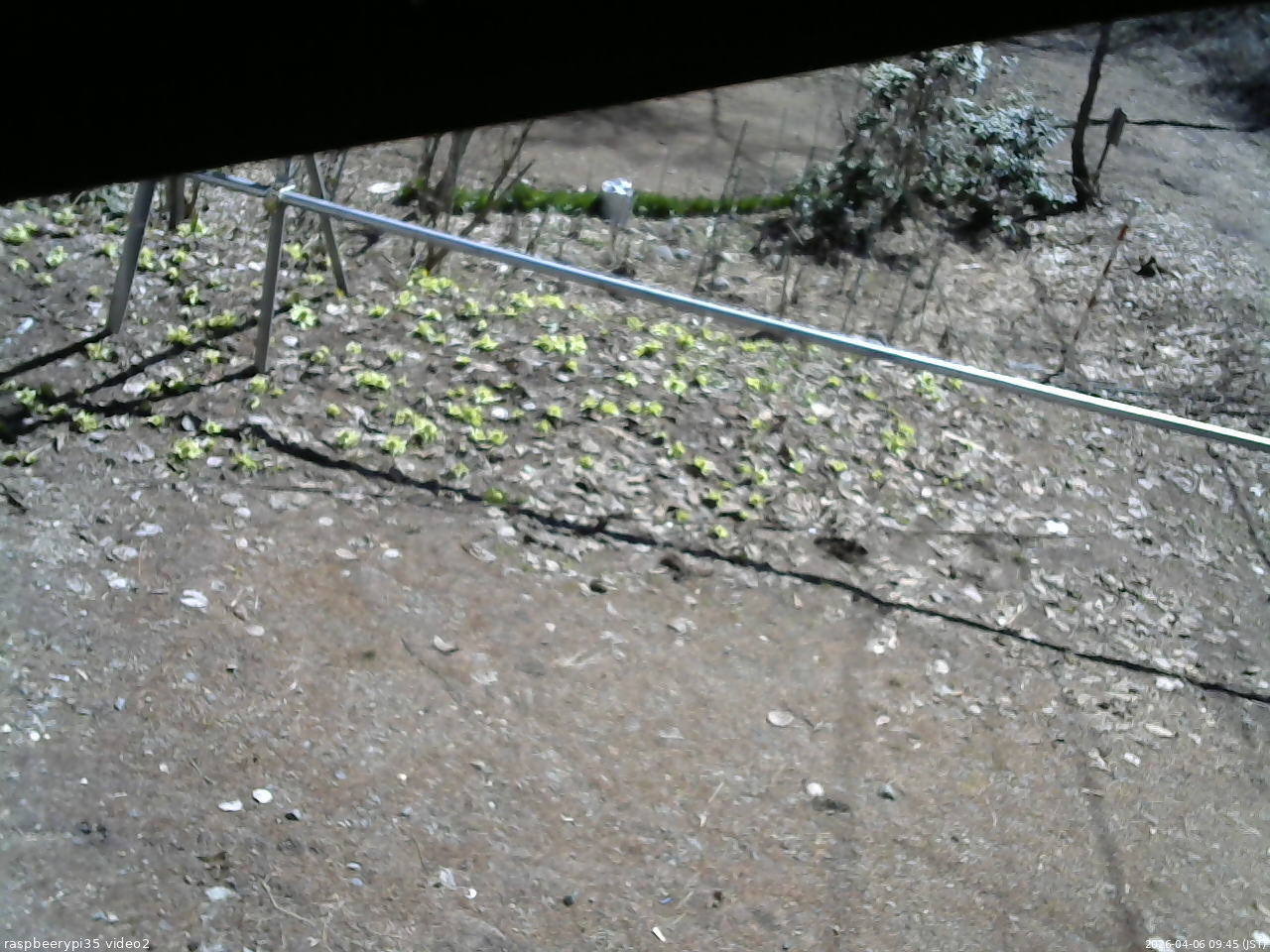 長野県菅平高原 ゆたか山荘 駐車場 2026/04/06 09:45