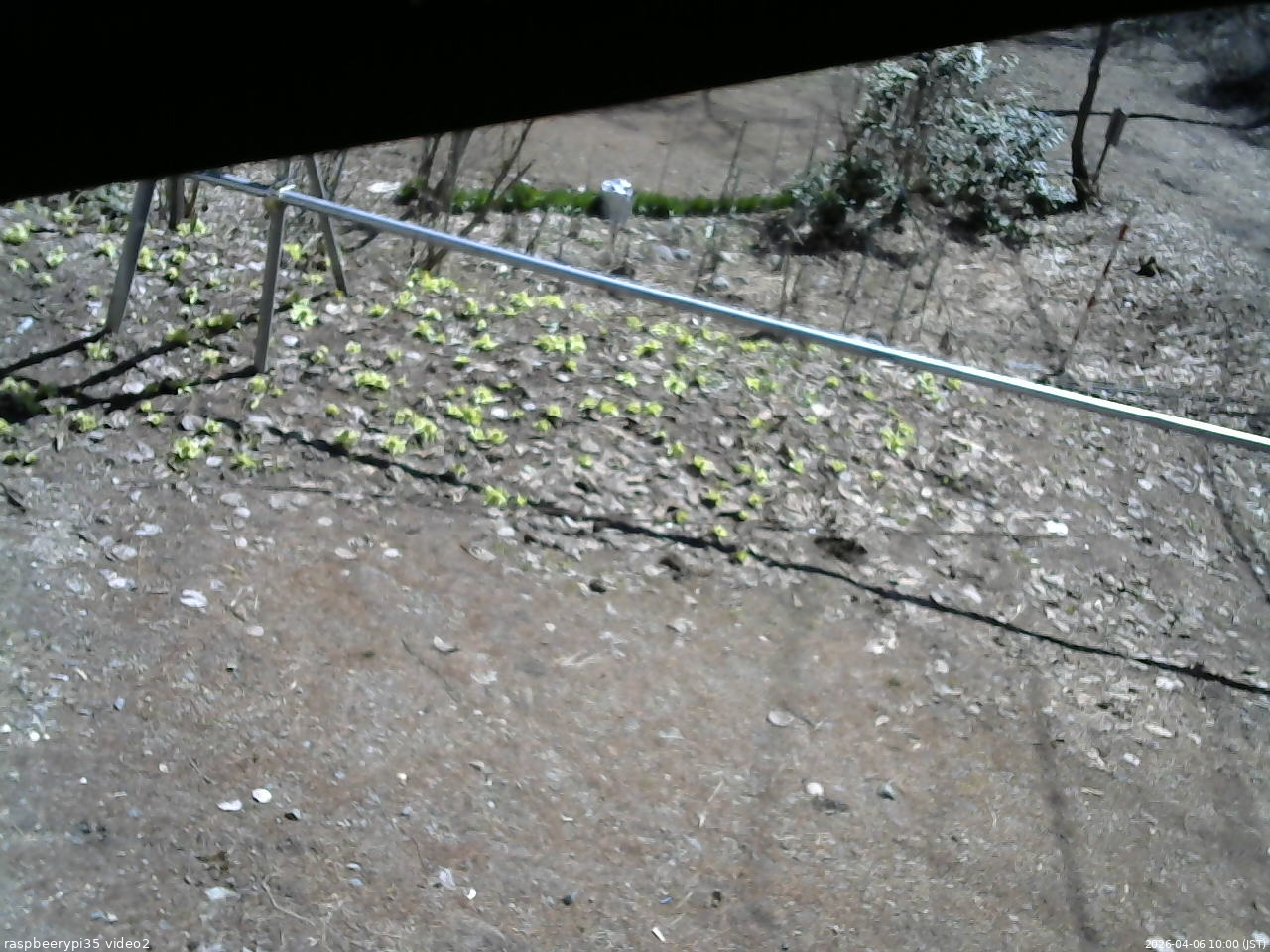 長野県菅平高原 ゆたか山荘 駐車場 2026/04/06 10:00
