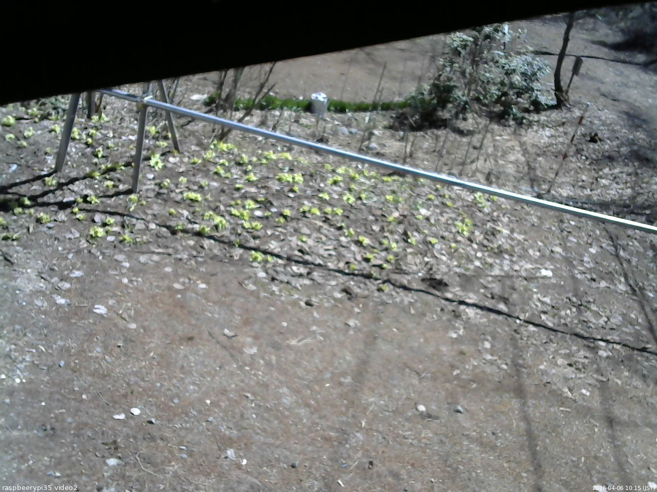 長野県菅平高原 ゆたか山荘 駐車場 2026/04/06 10:15