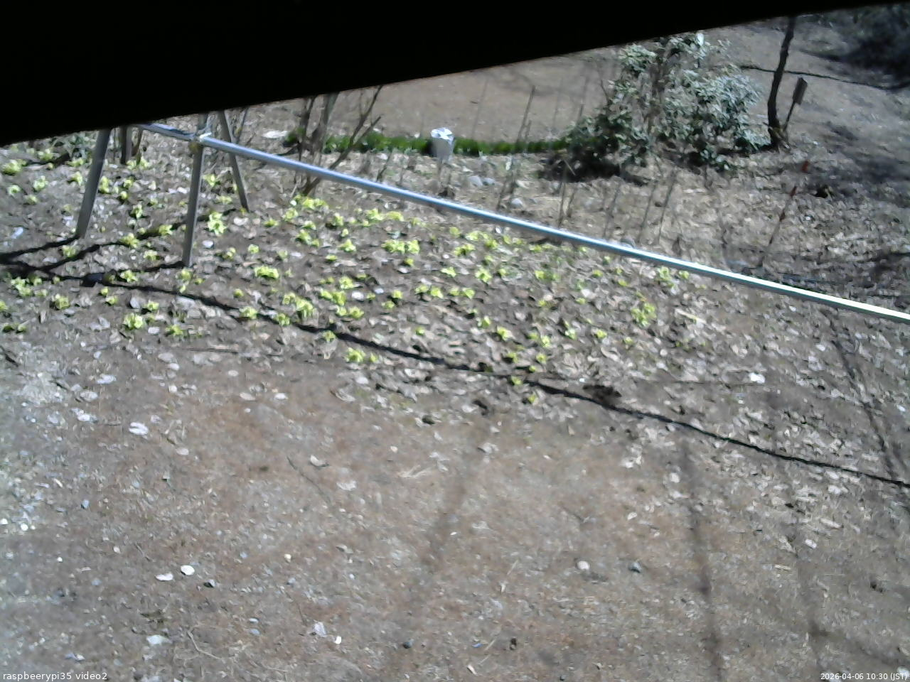 長野県菅平高原 ゆたか山荘 駐車場 2026/04/06 10:30