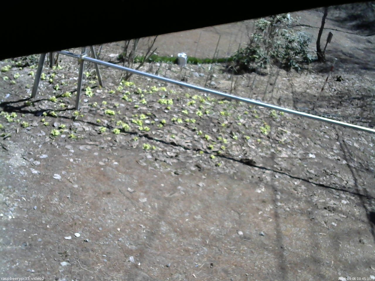 長野県菅平高原 ゆたか山荘 駐車場 2026/04/06 10:45